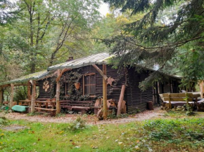 Das wilde Auwaldhaus Bertsdorf-Hörnitz